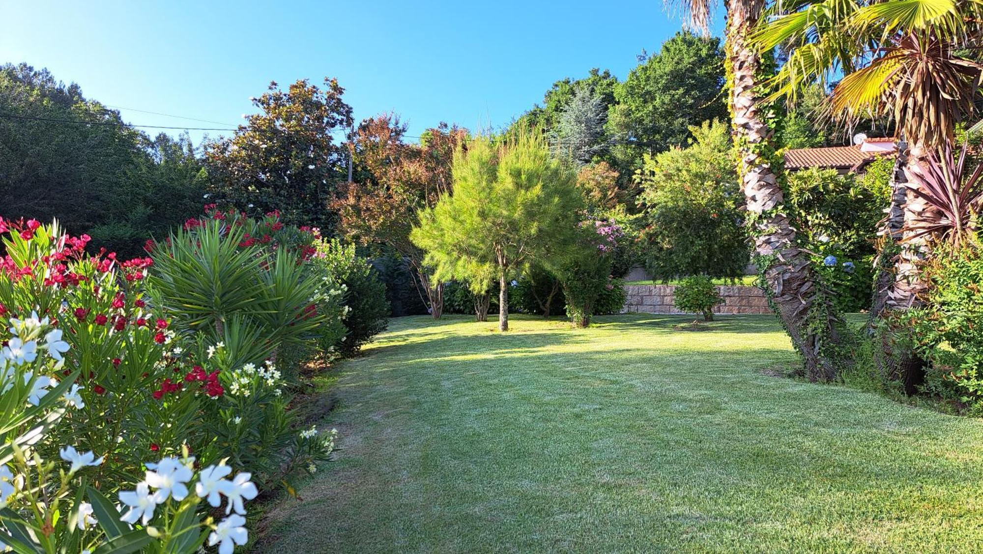 Casa Pinho Guest House Sao Pedro do Sul Exterior photo
